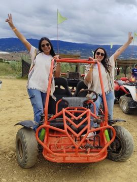 buggies